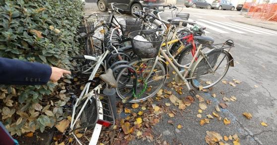 Specializzati in furti di biciclette 