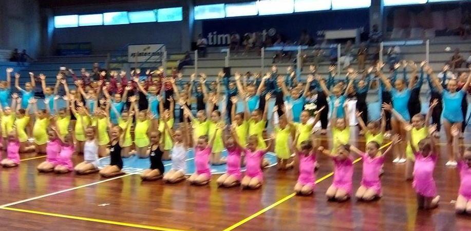 Ginnastica spettacolo al palasport 