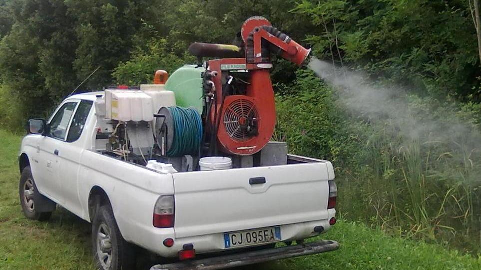 Allarme zanzare, invasione in arrivo