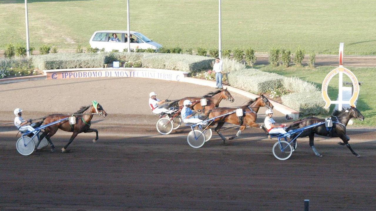 Giornata di trotto all'ippodromo Sesana