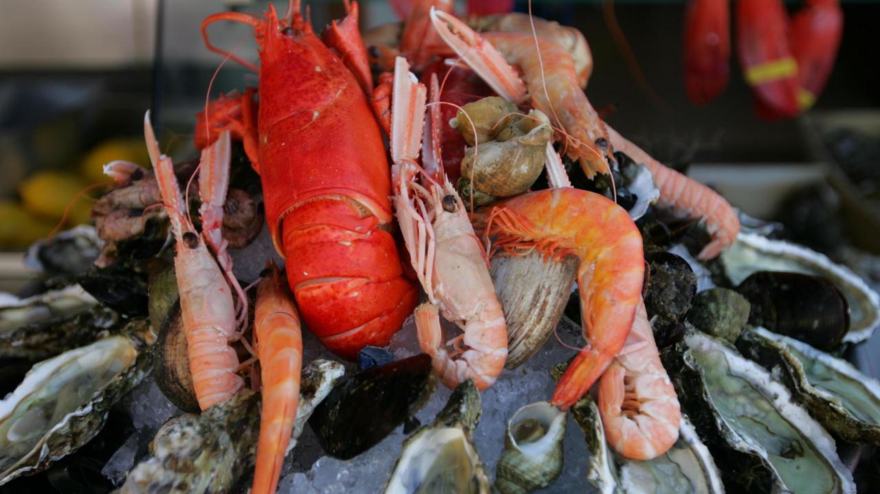 Sequestrati 15 quintali di pesce in un negozio di via Vecchi
