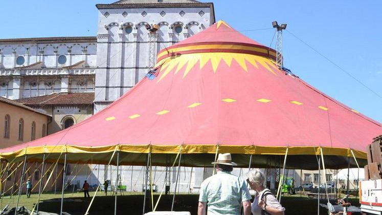 «Legnate al Summer, tappeti rossi agli altri»