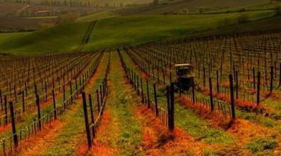 Md contro i disseccanti in agricoltura 