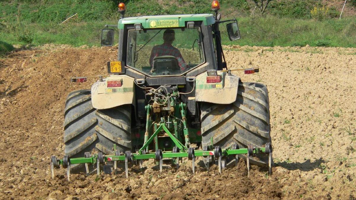 La sarchiatura di un terreno da arare