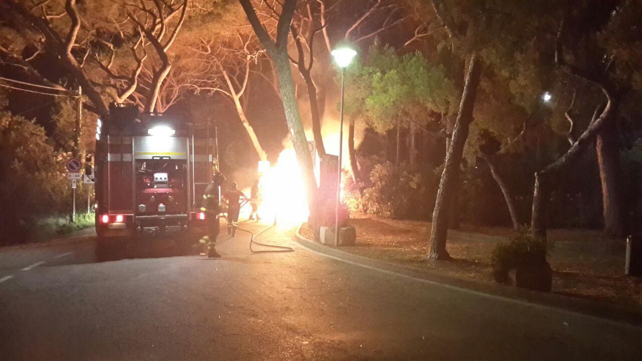 I vigili del fuoco in azione in pineta a Castiglioncello