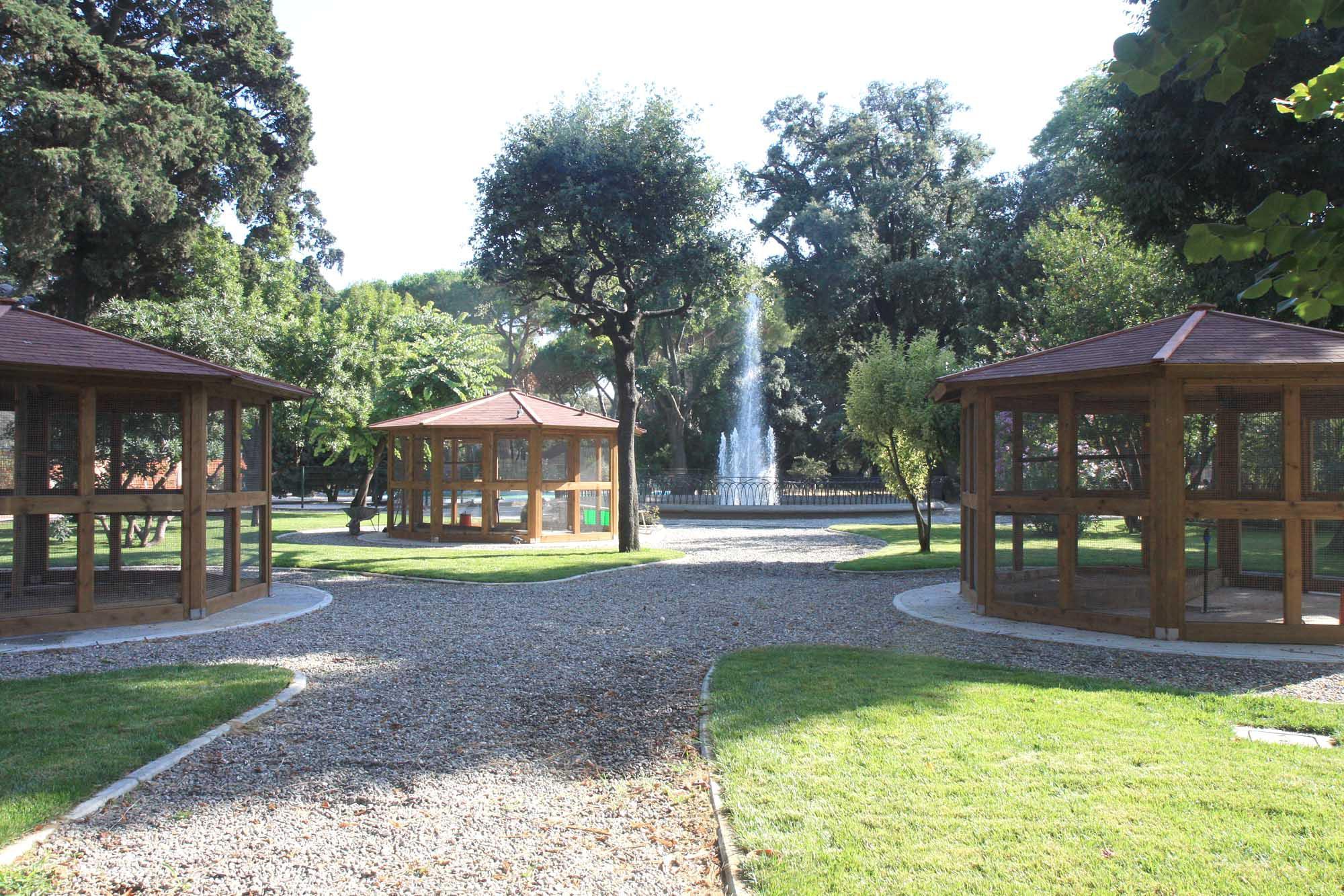 Un'immagine del Parterre (Salvini Pentafoto)