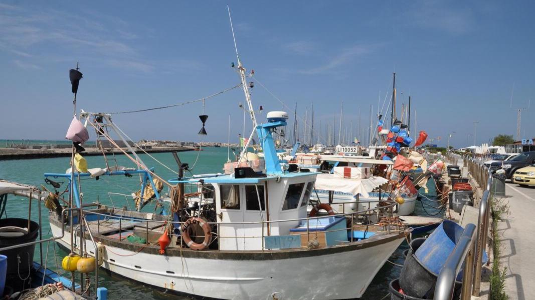 Alcune delle imbarcazioni dei pescatori professionisti ormeggiate al porto di cecina