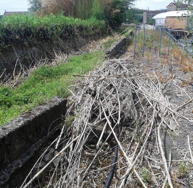 Il torrente della Furicaia abbandonato a se stesso 