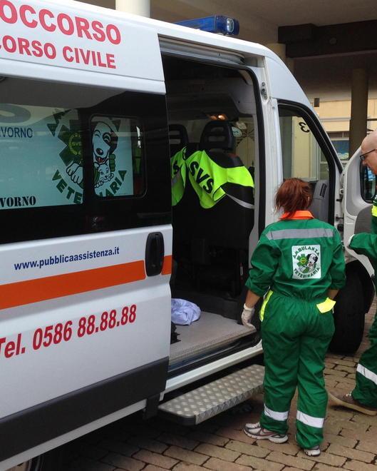 Animali domestici in ambulanza Si parte da luglio