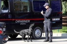 Carabinieri, unità cinofile in pista per solidarietà