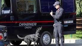 Carabinieri, unità cinofile in pista per solidarietà