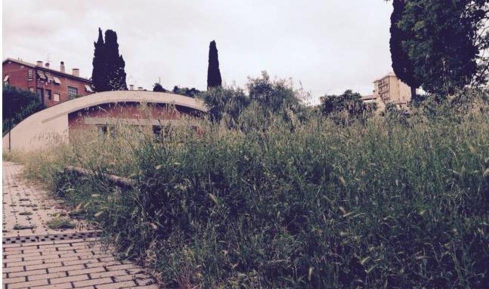 «Erbacce ovunque e degrado Il sindaco deve intervenire»