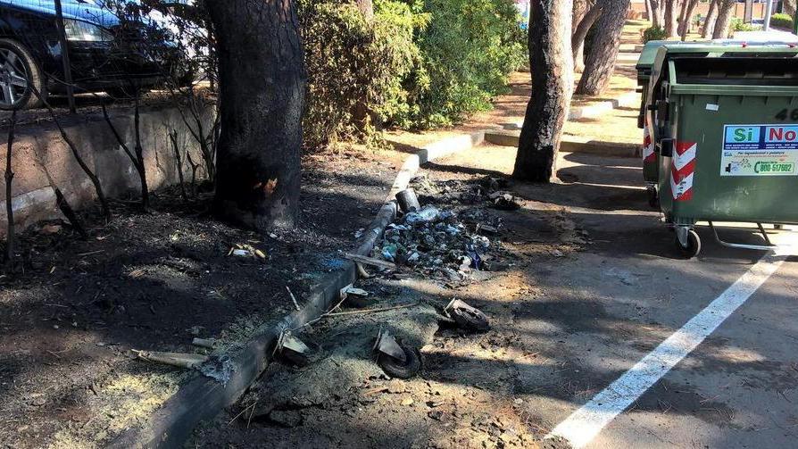 Le fiamme minacciano pineta Marradi