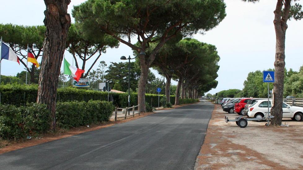 I turisti dei campeggi in azione Firme per la strada dissestata