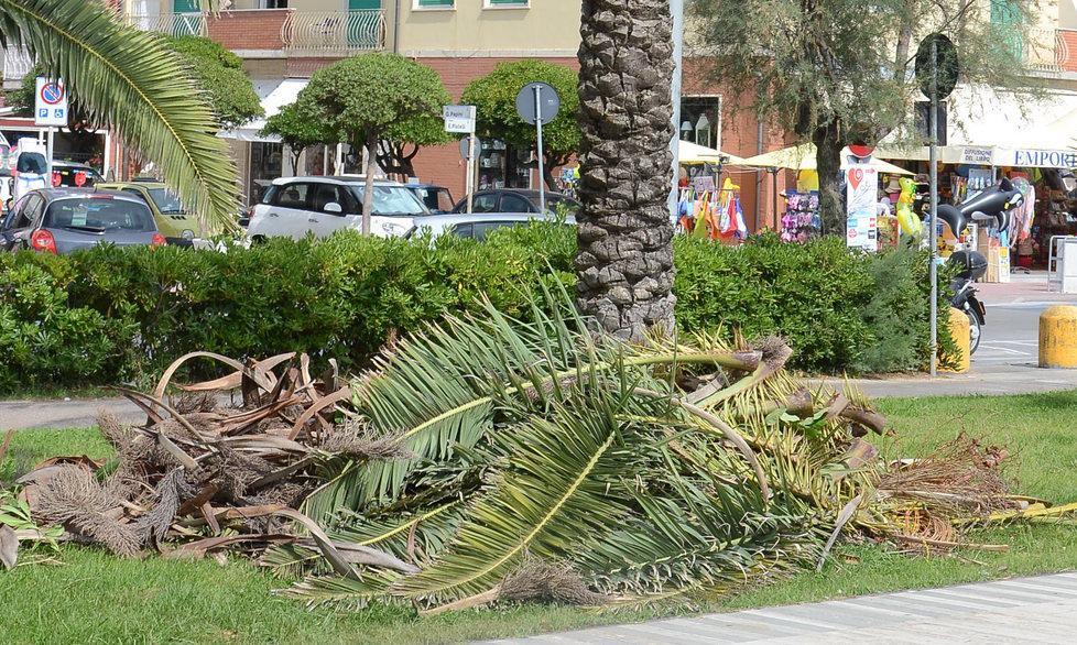 «Siamo rimasti delusi dall’incuria»