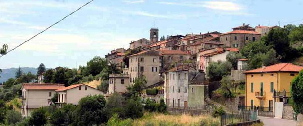 Furto in villa, i ladri rinchiudono i cani 