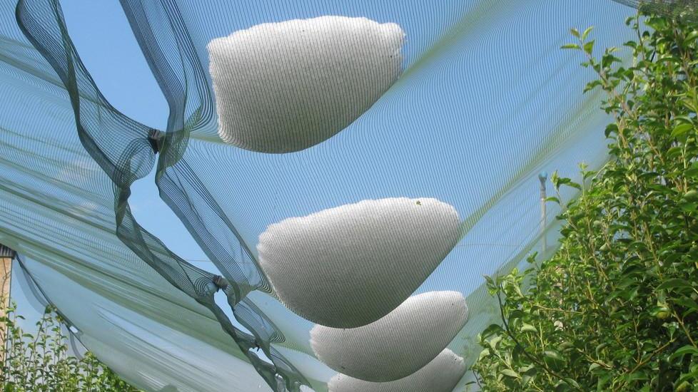 Per la grandine danni ingenti alle colture