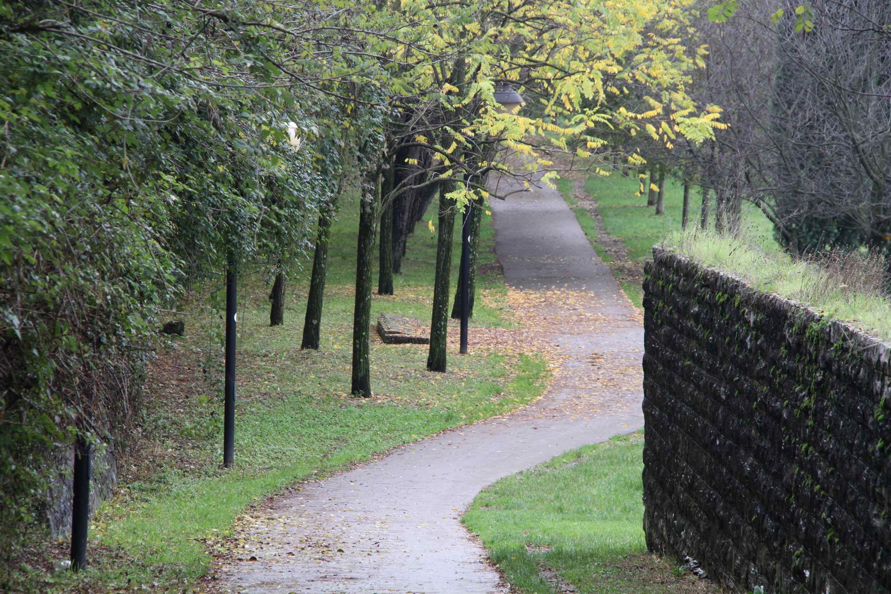 Iniziati i lavori per la sostituzione delle lampade della pista ciclabile 