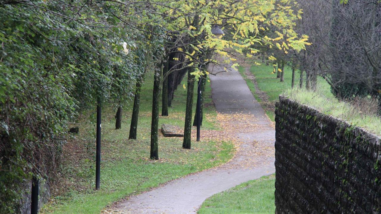 Iniziati i lavori per la sostituzione delle lampade della pista ciclabile