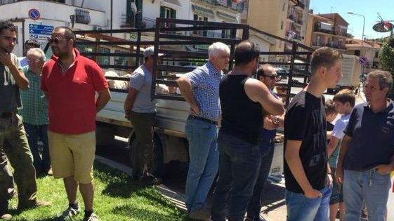 Il presidio improvvisato dagli allevatori a Manciano