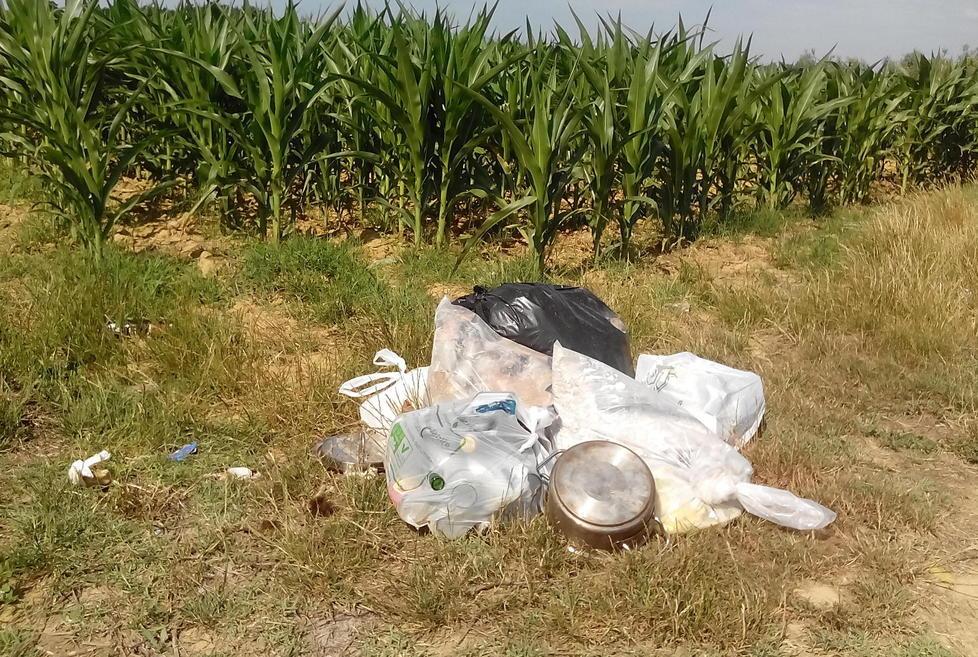 Discariche a bordo strada Si rischiano multe pesanti