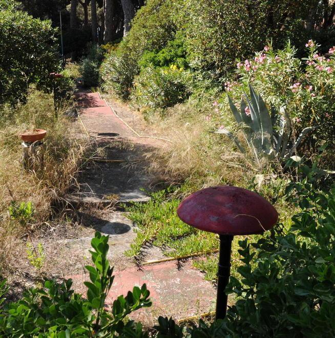 Sette richieste di gestione per il minigolf in pineta 