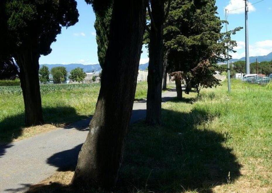 Una rotonda fra le vie di Tiglio e Piaggia 