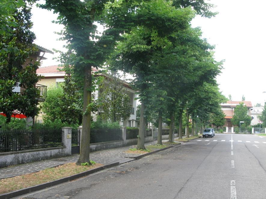 Le rubano pensione e oro: svaligiata casa di via Lidice