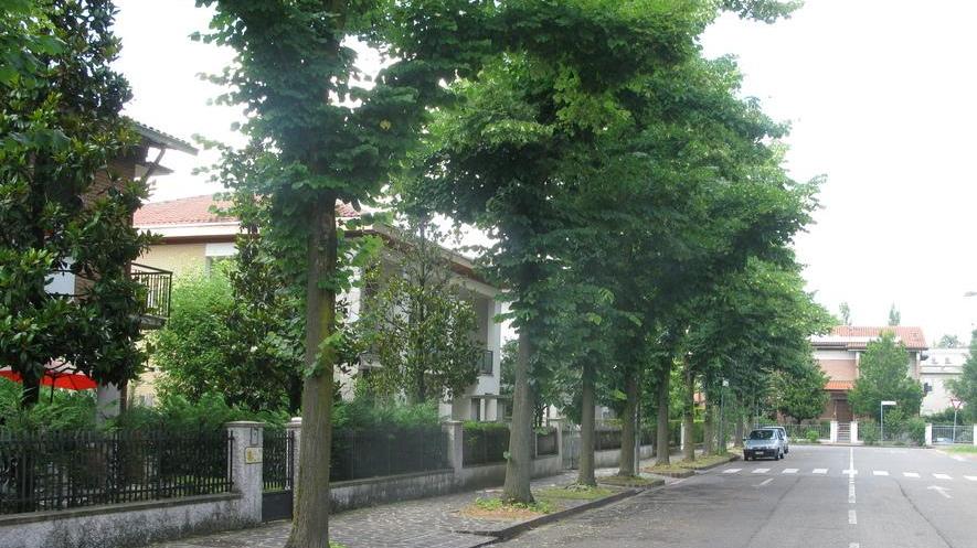 Le rubano pensione e oro: svaligiata casa di via Lidice