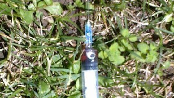 Trova una siringa insanguinata in giardino