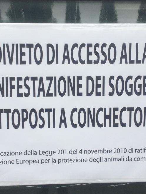 Ferrara, cani mutilati all’Esposizione: irregolari 5 certificati su 22 