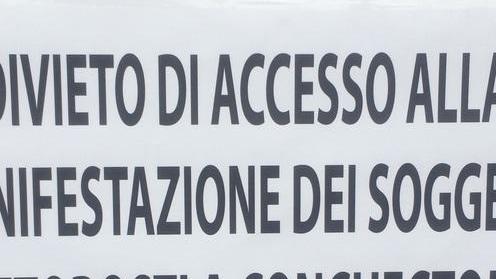 Ferrara, cani mutilati all’Esposizione: irregolari 5 certificati su 22