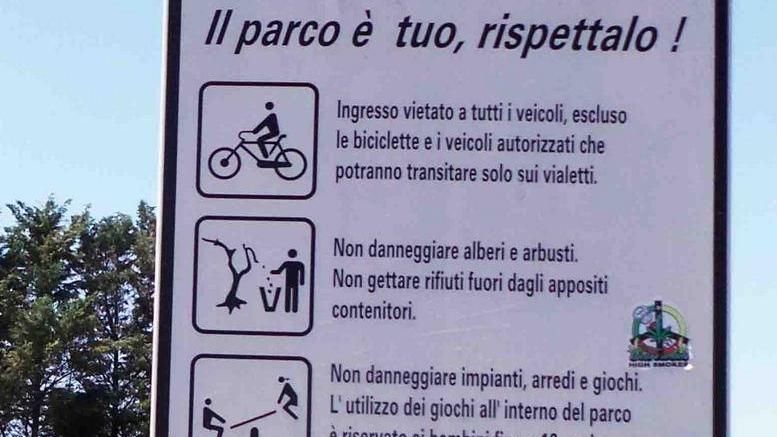 Ferrara, giù tutti i 300 alberi di via Mosconi