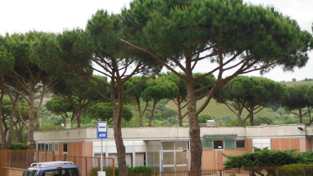 L’ex asilo nido Il Girasole, chiuso dalla scorsa estate