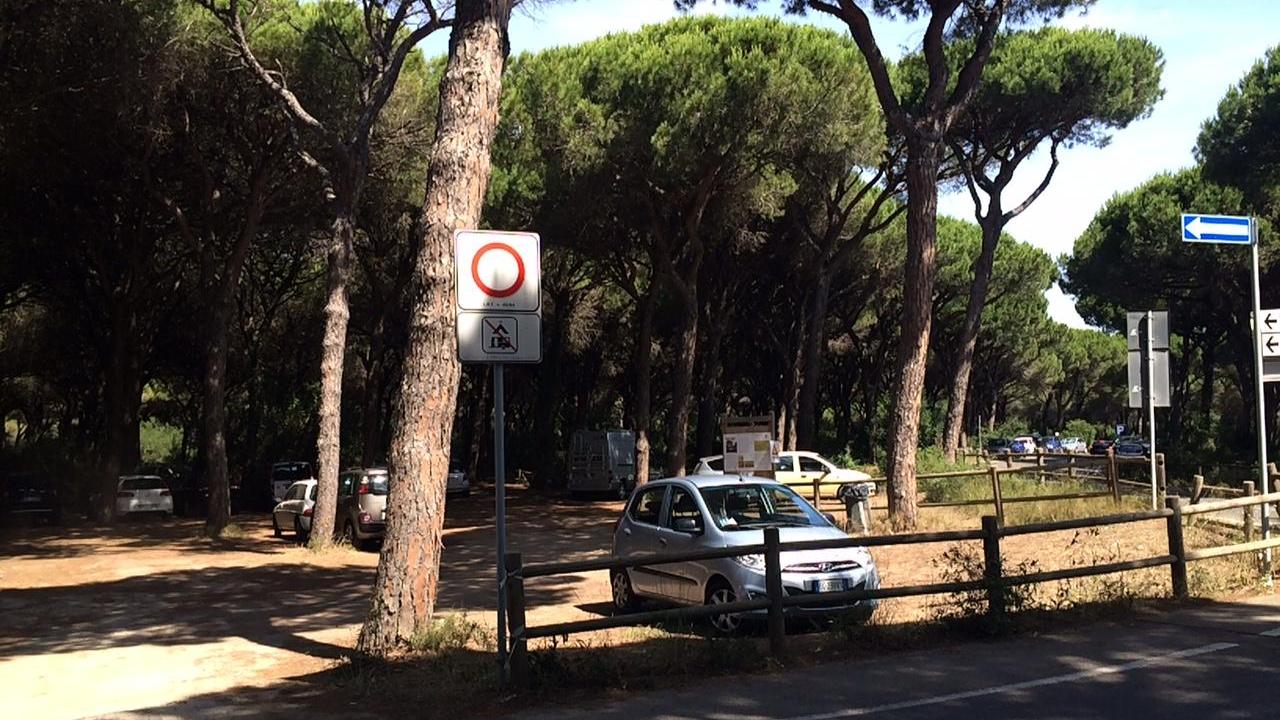 Un'area parcheggio in pineta a Marina di Grosseto