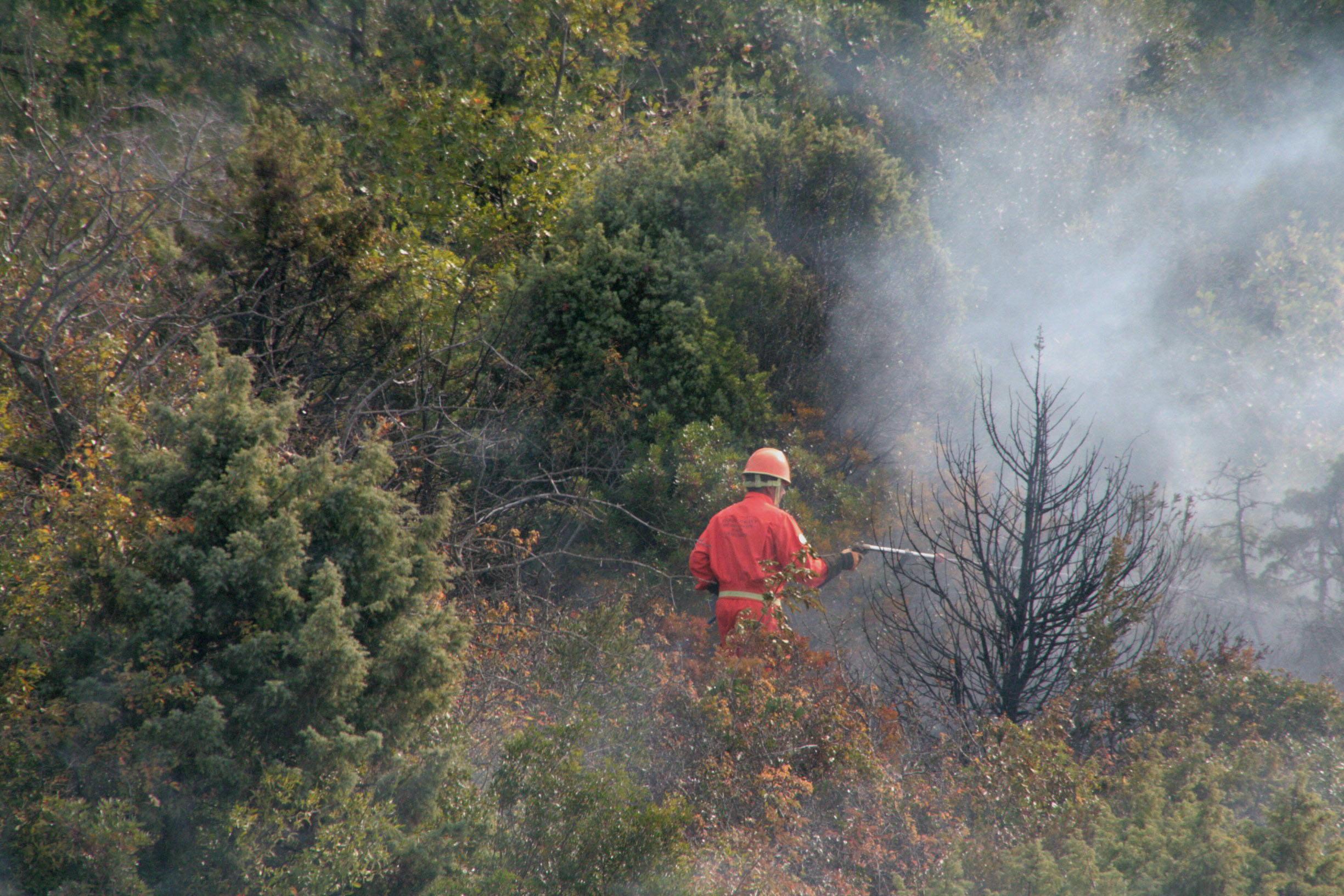 L'incendio in un sottobosco
