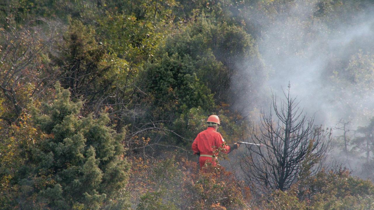 L'incendio in un sottobosco