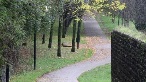 In sostituzione le luci sulla ciclabile