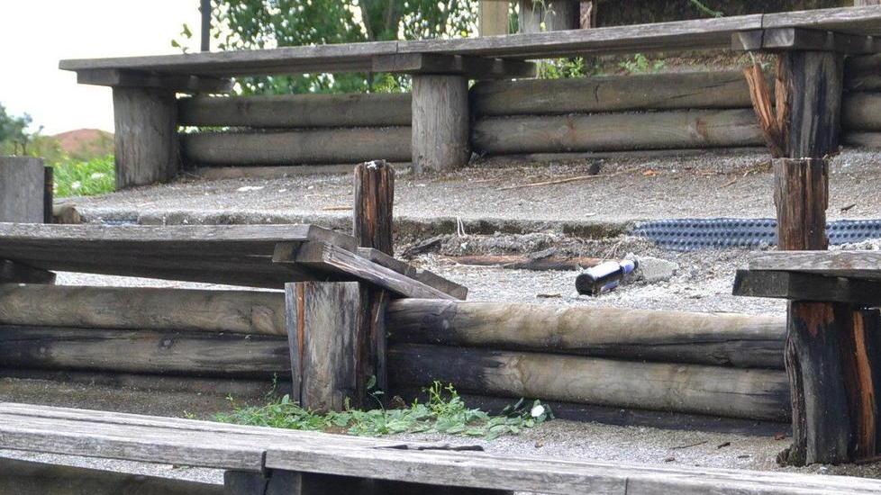 Nel parco intanto mettiamoci gli alberi