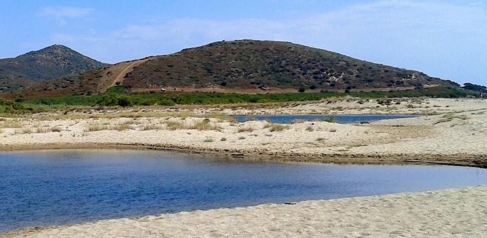 Pineta di Orvile, la Forestale dà il via ai lavori di recupero 