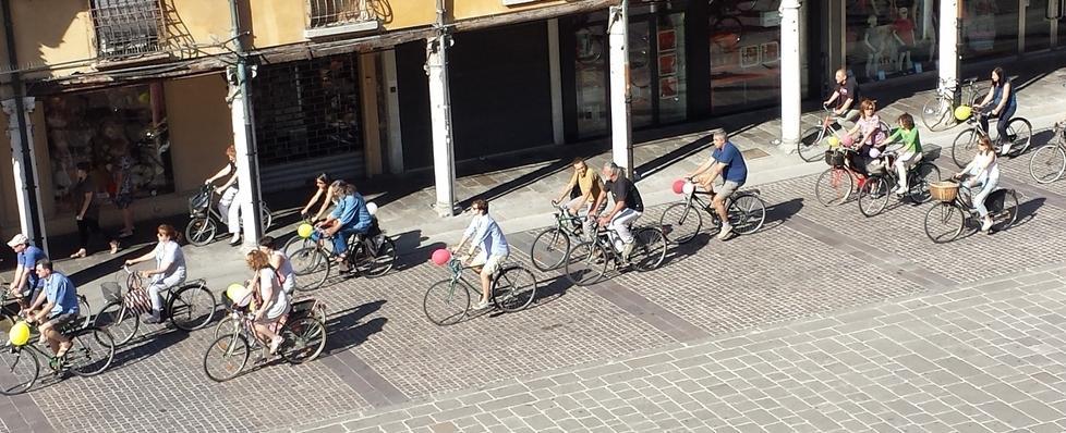 Quei professori in bicicletta continuano la loro battaglia