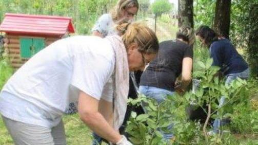 Il giardino della scuola? Ci pensano i genitori