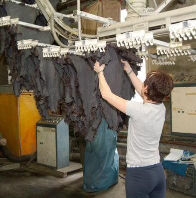 Balducci e Rosati entrano nel nuovo consiglio Unic 