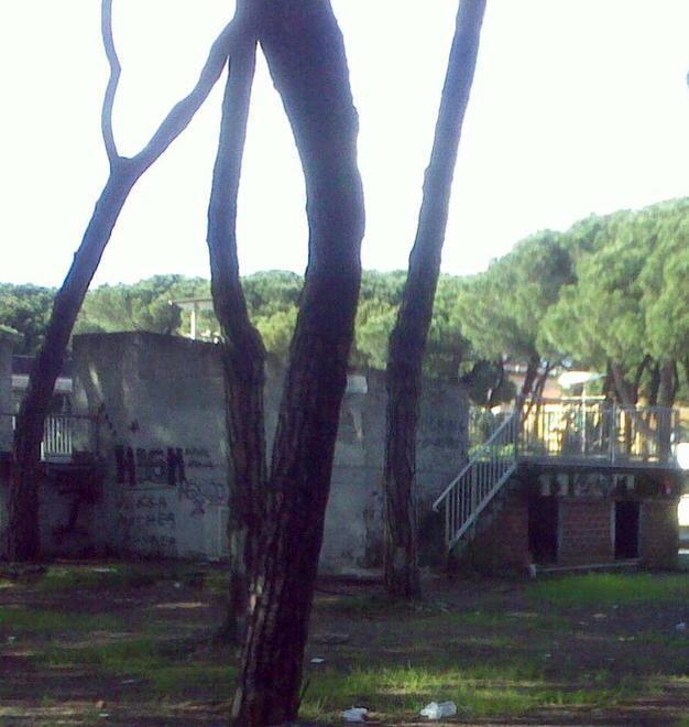 Ore 8: Amia con l’aiuto dei detenuti dà il via alla pulizia dell’area Caravella 