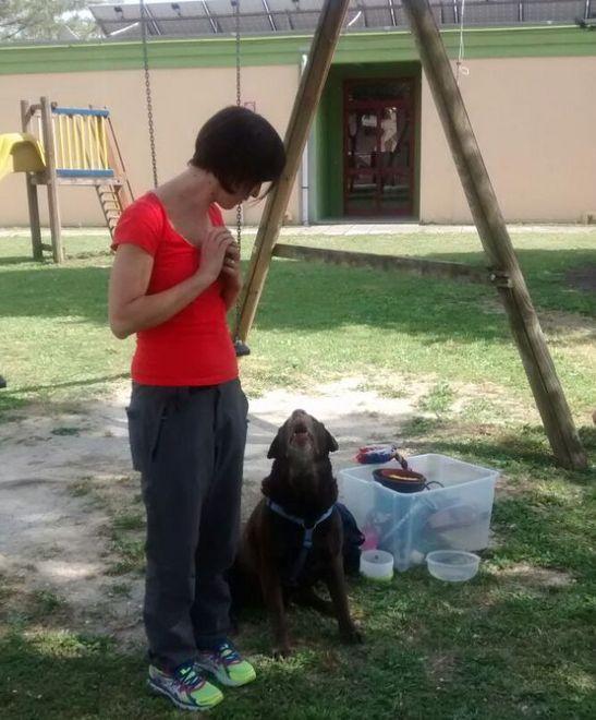 Cani in classe per imparare a rispettarli 