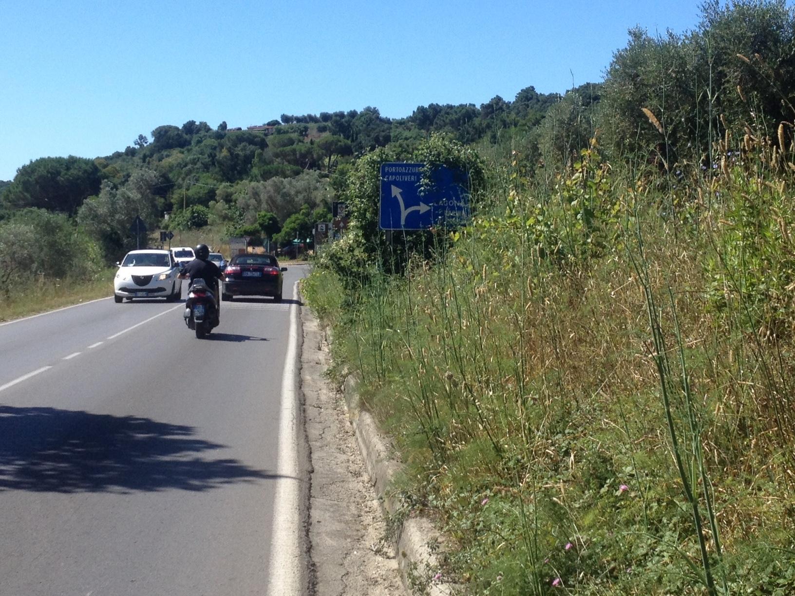 Erbacce sulla provinciale Sp 26 dal centro abitato di Portoferraio a Porto Azzurro