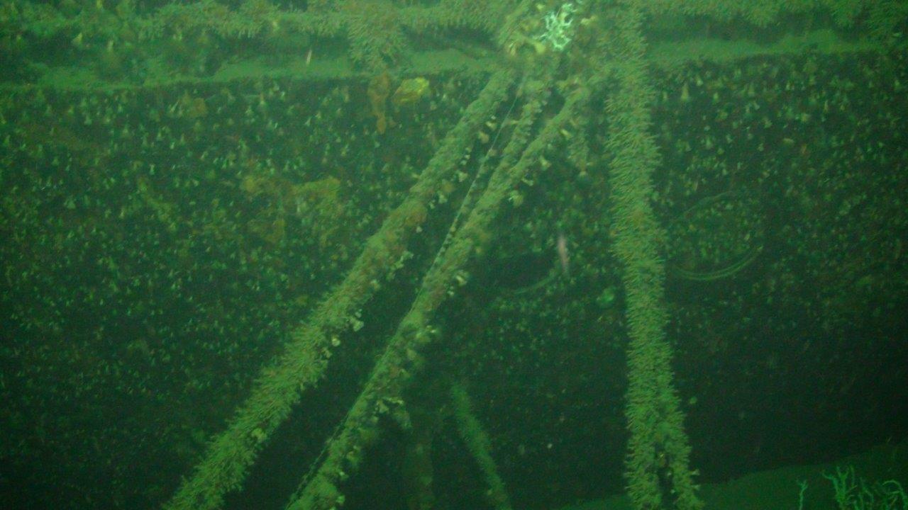 Due oblò ravvicinati del piroscafo Crispi