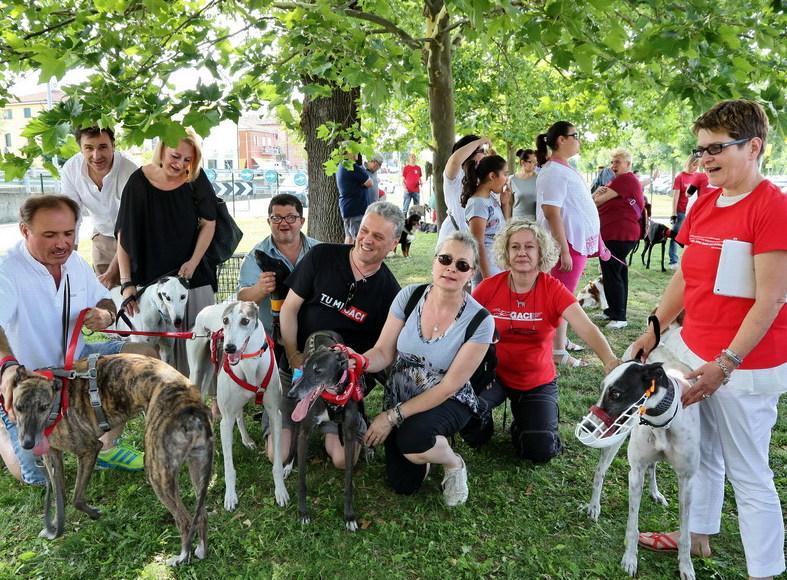 Cani protagonisti a “Grandemilia”