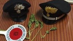 Picchia il padre per avere la moto