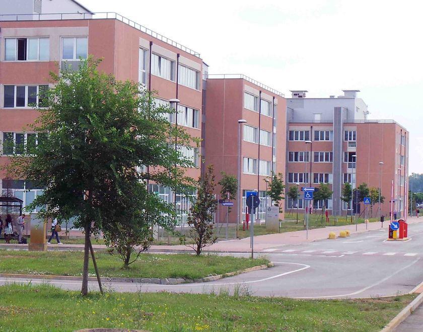 Sposo rimane ferito durante la festa di nozze 